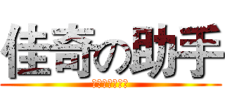 佳奇の助手 (佳奇永远的神！)