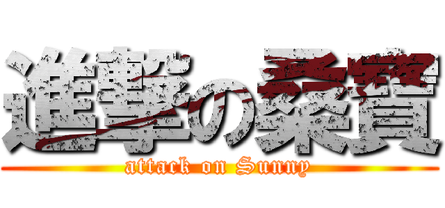進撃の桑寶 (attack on Sunny)