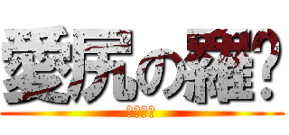 愛尻の羅鑫 (有夠愛尻)