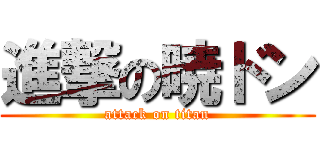 進撃の暁ドン (attack on titan)