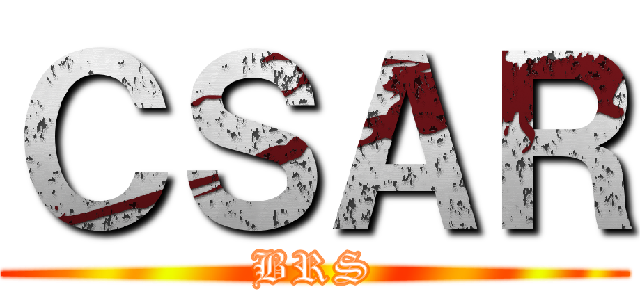 ＣＳＡＲ (BRS)