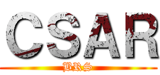 ＣＳＡＲ (BRS)