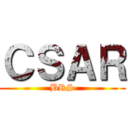 ＣＳＡＲ (BRS)