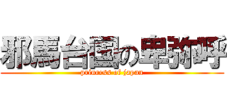 邪馬台国の卑弥呼 ( princess of japan )