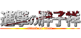進撃の胖子祥 (attack on titan)
