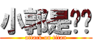 小郭是ㄏㄏ (attack on titan)