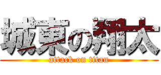 城東の翔太 (attack on titan)