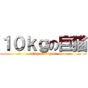 １０ｋｇの巨猫 (10kg on bigcat)