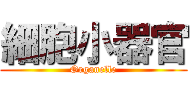 細胞小器官 (Organelle)