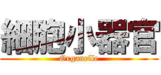 細胞小器官 (Organelle)