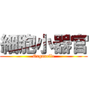 細胞小器官 (Organelle)