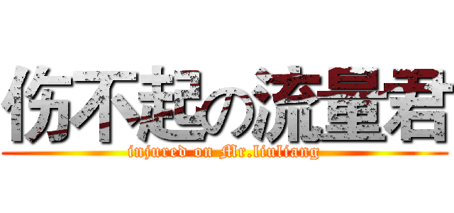 伤不起の流量君 (injured on Mr.liuliang)