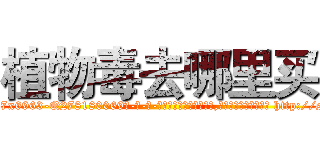 植物毒去哪里买 (植物毒去哪里买【电-186x2687x6963-Q278180069元-吉-药-业】我们做的是长期生意,靠的是老客户长期支持 http://sngk.net/VpzGxj
)