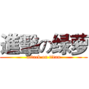 進擊の绿萝 (attack on titan)