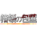 箝頓の包莖 (Paraphimosis on penis)