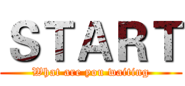 ＳＴＡＲＴ (What are you waiting)