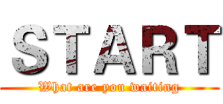 ＳＴＡＲＴ (What are you waiting)