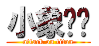 小象爸爸 (attack on titan)