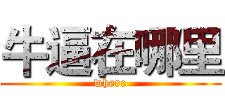 牛逼在哪里 (where)