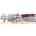 牛逼在哪里 (where)
