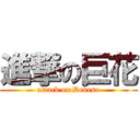 進撃の巨花 (attack on Debeso)