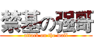 禁基の强哥 (attack on the wall)