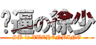 傻逼の徐少 (SB is XUCHENBING)
