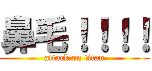 鼻毛！！！！ (attack on titan)