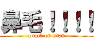 鼻毛！！！！ (attack on titan)