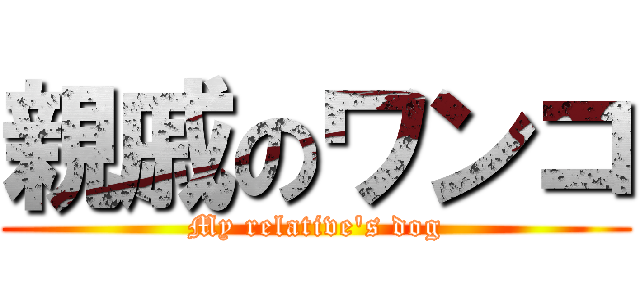 親戚のワンコ (My relative's dog)