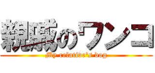 親戚のワンコ (My relative's dog)