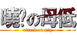 曉鷗の母低 (attack on pig)