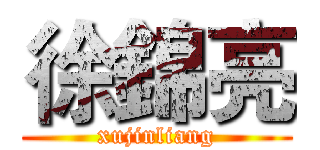 徐錦亮 (xujinliang)