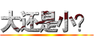 大还是小？ ()