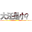 大还是小？ ()