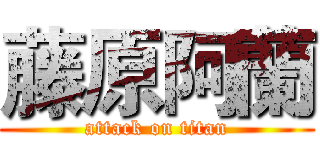 藤原阿蘭 (attack on titan)