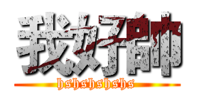 我好帥 (hshshshshs)