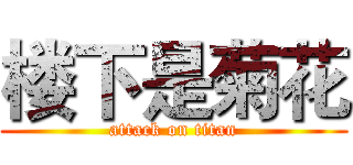楼下是菊花 (attack on titan)