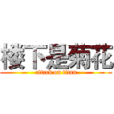 楼下是菊花 (attack on titan)
