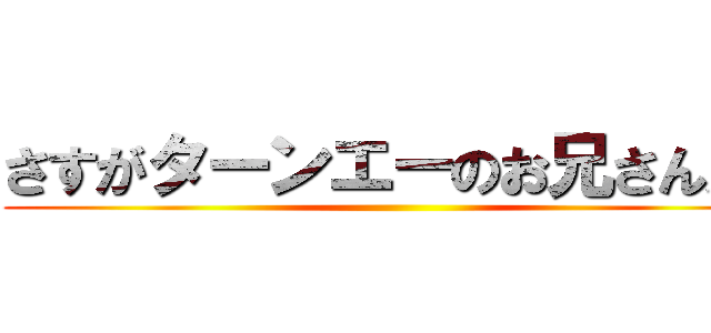 さすがターンエーのお兄さんだ！ ()