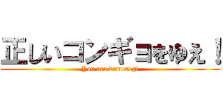 正しいコンギョをゆえ！ (You are kamonegi)