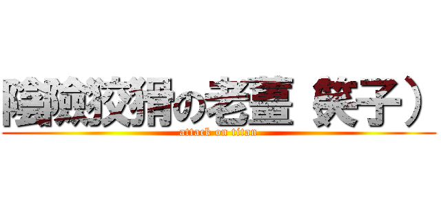 陰險狡猾の老薑（笑子） (attack on titan)