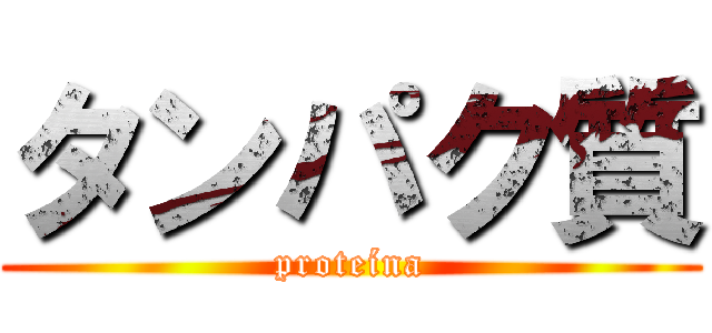 タンパク質 (proteína)