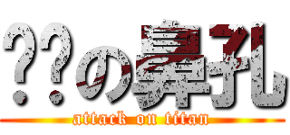 挖你の鼻孔 (attack on titan)