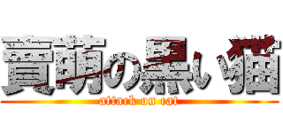賣萌の黒い猫 (attack on cat)