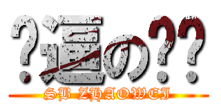 傻逼の赵维 (SB ZHAOWEI)