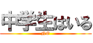中学生はいる (NO)