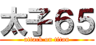 太子６５ (attack on titan)