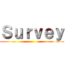 Ｓｕｒｖｅｙ ()