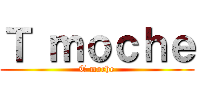 Ｔ ｍｏｃｈｅ (T moche)